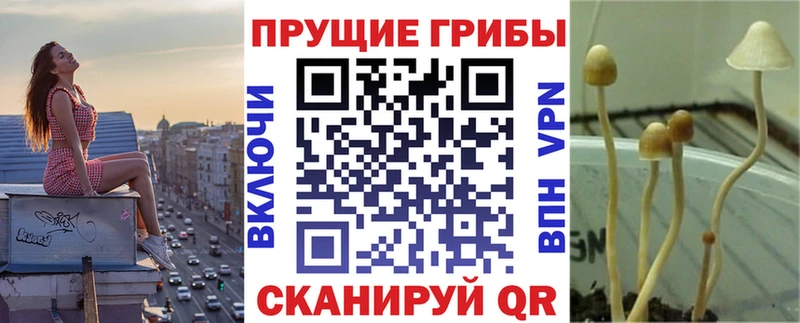 Псилоцибиновые грибы ЛСД  kraken   Омск 